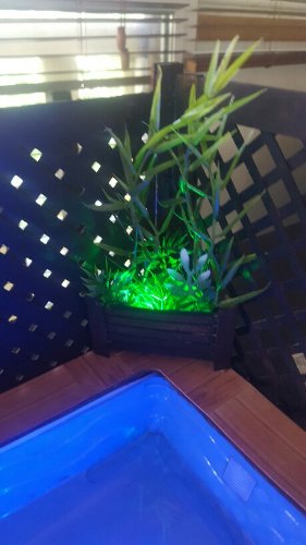 20180826_102221-459x816.jpg