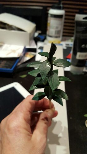 20180220_232531_001-459x816.jpg